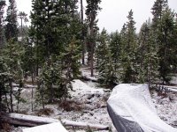 SnowJune6E.jpg
