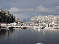 MarinaSnowE.jpg