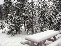 MoreSnow1E.jpg