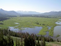 2008_potter_valley_and_July_Yellowstone_039.jpg
