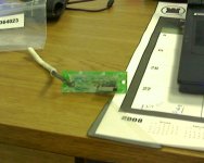 img027.sized.jpg img027.sized.jpg