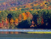 Fall_on_Lake_Guntersville.sized.jpg