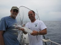 IMG_0034.sized.jpg