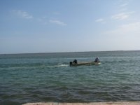 IMG_0263.sized.jpg