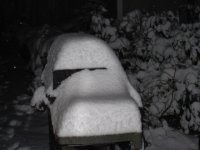 IMG_0160.sized.jpg