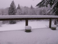 Snow_on_Back_Deck_12_25_08_Resized.jpg
