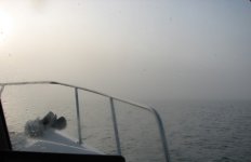 Fog1E.jpg