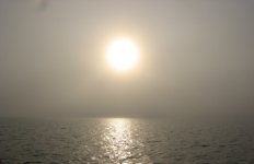Fog2E_copy.jpg