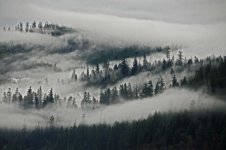 Mountain_Mists.sized.jpg