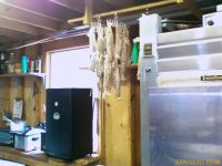 IMAGE_930.sized.jpg