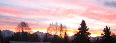 IMG_0805.jpg