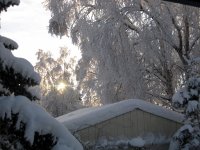 IMG_1613.jpg