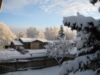 IMG_1614.jpg