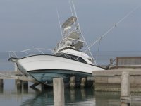 IMG_0400.sized.jpg