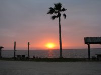 IMG_0465.sized.jpg