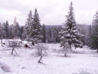 FD_Winter_Wonderland_3_9_09.jpg