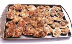 Fried_Clams.jpg