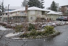 BigFlakes1.jpg