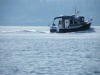 DSCF6671.sized.jpg