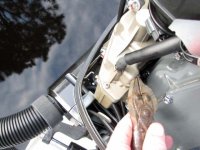 fuel_line_into_injection_pump_for_bleeding.jpg fuel_line_into_injection_pump_for_bleeding.jpg