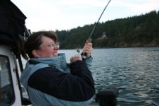 IMG_3362_001.sized.jpg