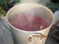 IMG_0373.sized.jpg