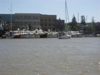 IMG_1310_Small.jpg