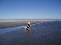 Nice_beach_at_San_Quitin.sized.jpg