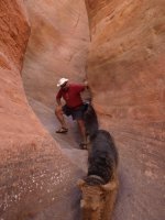 The_fun_of_narrow_slot_canyons.sized.jpg