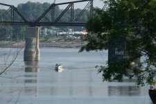 Falcon_Clarksville_Bridge.jpg