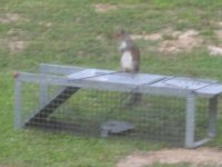 Sqs_001.sized.jpg