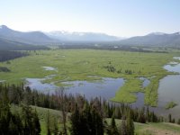 2008_potter_valley_and_July_Yellowstone_039.sized.jpg