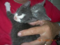 The_Babies.sized.jpg