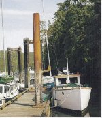 C_Dancer_Saturna_Island_June_2009.jpg