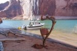 Bossa_Nova_Powell_2009.thumb.jpg
