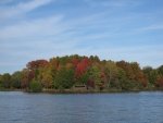 IMG_1395_1.thumb.jpg
