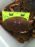 Picture_002.sized.jpg