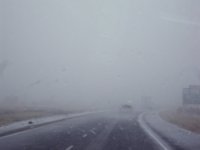 SnowE.jpg