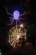 ZooLights2e.jpg