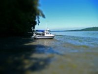 1_tiltshift.sized.jpg
