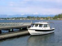 C_dory_003_sized_tiltshift.jpg