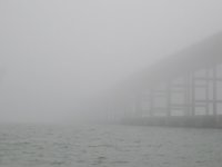 Fog4.jpg