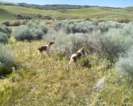 2_28_10_hunt_1.sized.jpg