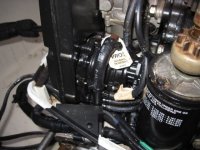 IMG_0344.sized.jpg