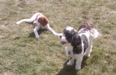 Buck_and_Baxter_3_27_10.sized.jpg