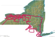 NYMap4Pat.sized.jpg