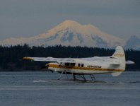IMG_0442.jpg