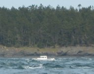 IMG_0775_Detail.jpg