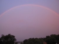 IMG_1831_1.sized.jpg