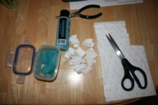 IMG_5950.sized.jpg